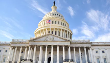 The Capitol in Washington, D.C.
