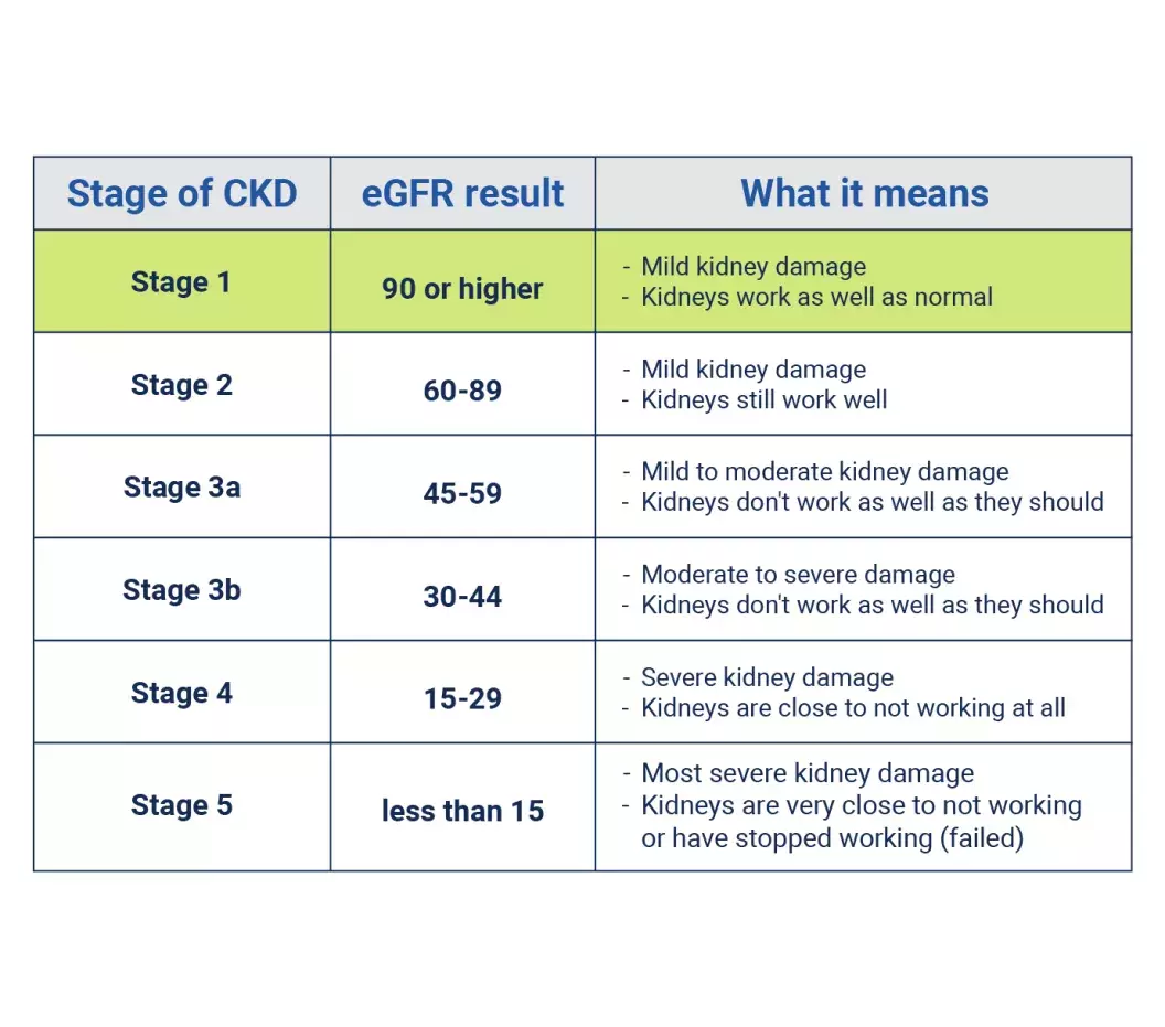 Chart of stage 1 kidney disease