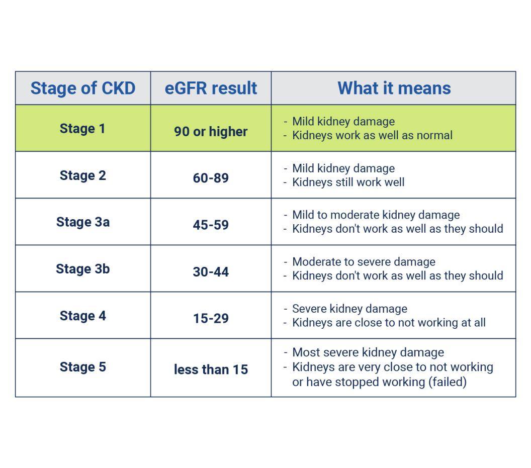 Chart of stage 1 kidney disease