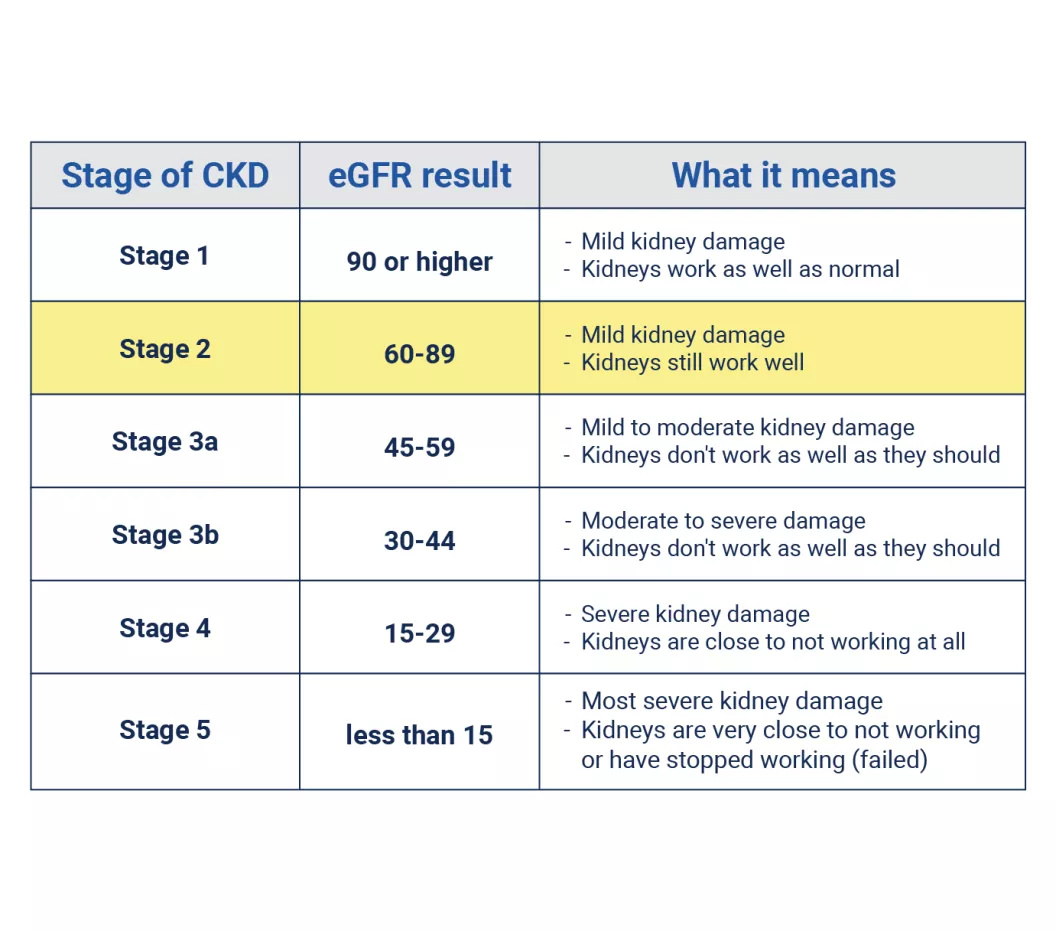 Chart of stage 2 kidney disease