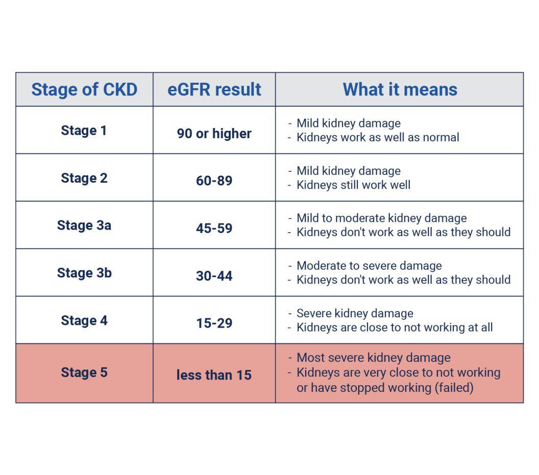 Chart of stage 5 kidney disease