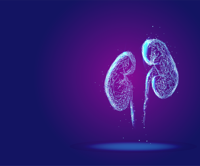 purple kidneys illustrated