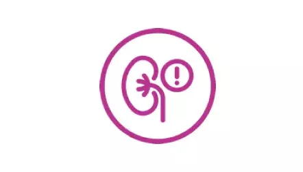Icon of kidney and exclamation point