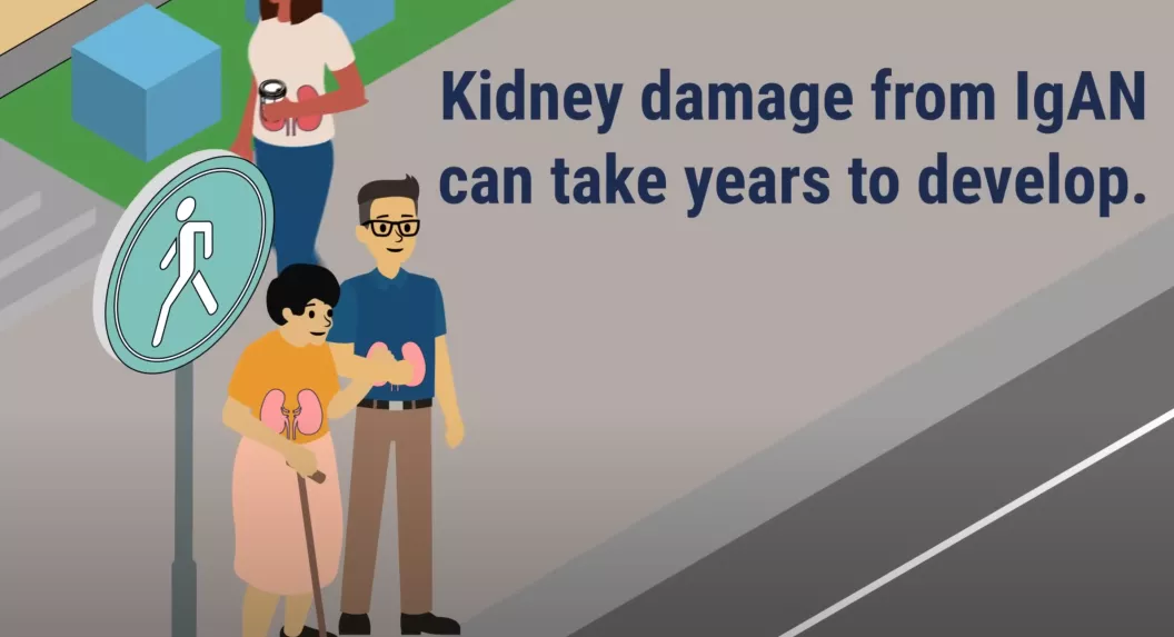 Kidney damage from IgAN