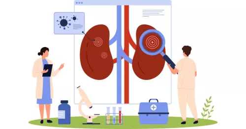 Cartoon researchers investigating large kidneys