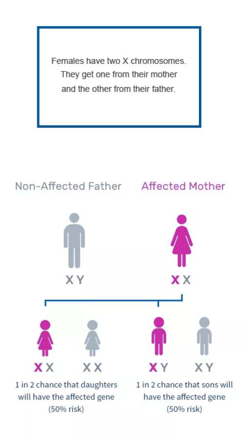 Diagram of what causes Fabry disease