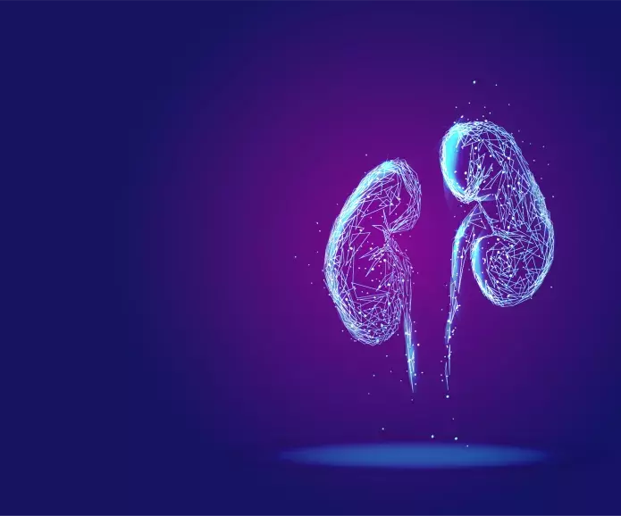 purple kidneys illustrated