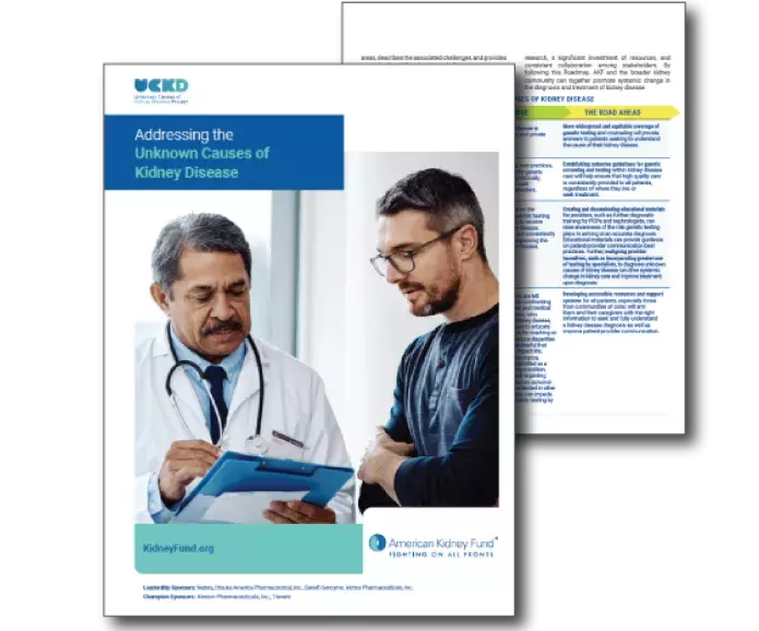 Thumbnail of Unknown Causes of Kidney Disease Project roadmap