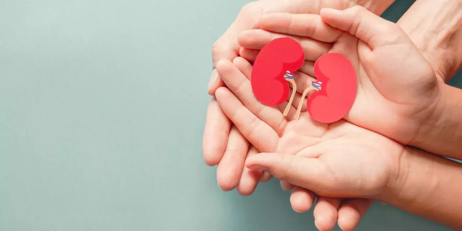 Kidney donation and transplant