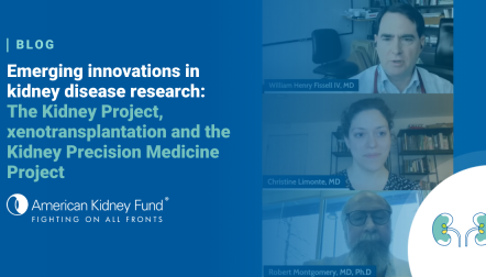Screenshots of KAW speakers Dr. Robert A. Montgomery, Dr. Christine Limonte and Dr. William Fissell with blue text overlay, "Emerging Innovations in kidney disease research"